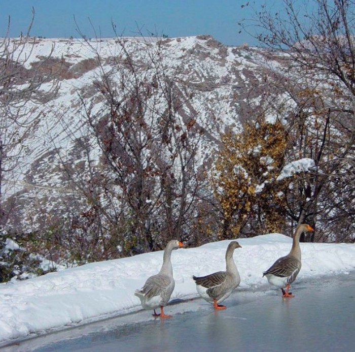 Σε απόσταση 2 ωρών από την Αθήνα υπάρχει η "Cherryland": Ένα υπέροχο χωριό βγαλμένο από τα παραμύθια