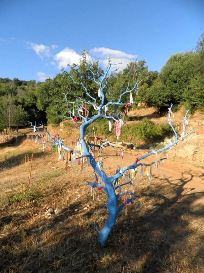 Σε απόσταση 2 ωρών από την Αθήνα υπάρχει η "Cherryland": Ένα υπέροχο χωριό βγαλμένο από τα παραμύθια