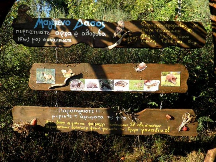 Σε απόσταση 2 ωρών από την Αθήνα υπάρχει η "Cherryland": Ένα υπέροχο χωριό βγαλμένο από τα παραμύθια