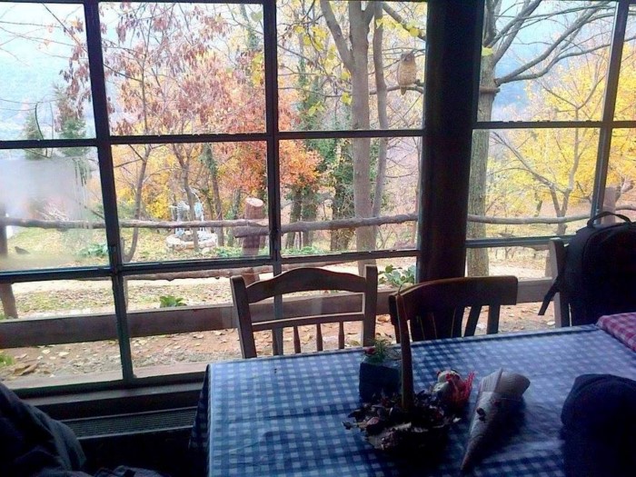 Σε απόσταση 2 ωρών από την Αθήνα υπάρχει η "Cherryland": Ένα υπέροχο χωριό βγαλμένο από τα παραμύθια