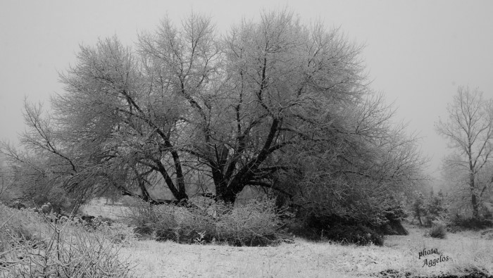 Η "Σιβηρία της Ελλάδας": Εκεί ο χειμώνας διαρκεί 7 μήνες και οι θερμοκρασίες φτάνουν τους -30