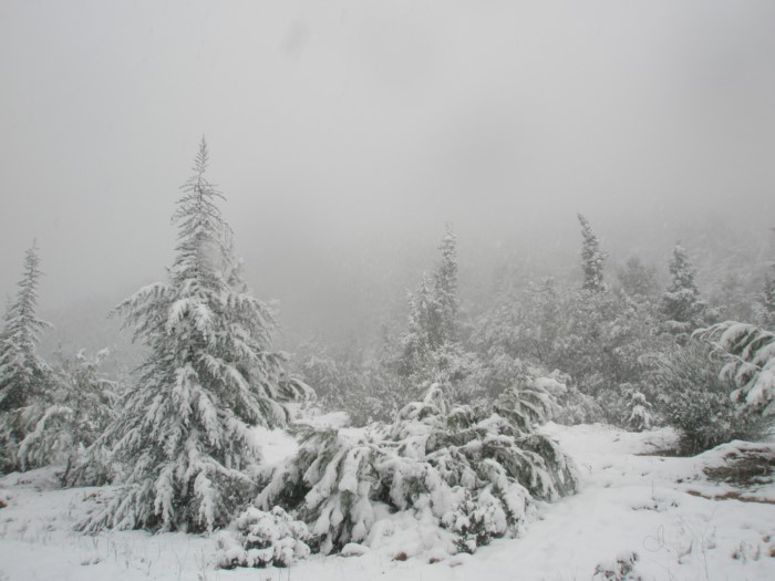 Η "Σιβηρία της Ελλάδας": Εκεί ο χειμώνας διαρκεί 7 μήνες και οι θερμοκρασίες φτάνουν τους -30