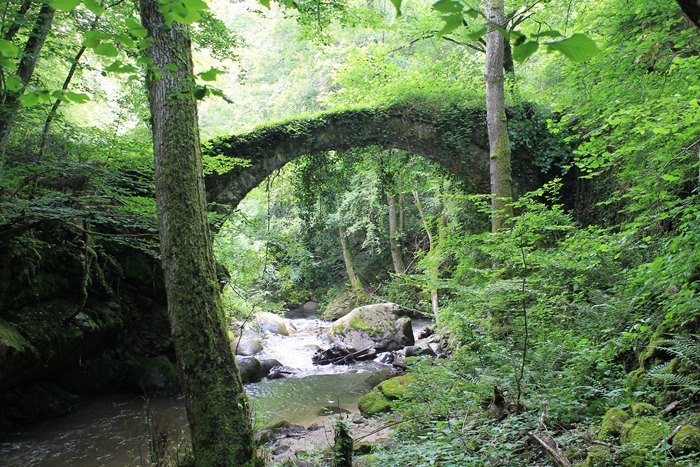 Ο παράδεισος της Ελλάδας: Η πόλη με τα παρθένα δάση, τα πετρόχτιστα γεφύρια, τη σπάνια βλάστηση και τους πανέμορφους καταρράκτες Ο παράδεισος της Ελλάδας: Η πόλη με τα παρθένα δάση, τα πετρόχτιστα γεφύρια, τη σπάνια βλάστηση και τους πανέμορφους καταρράκτες
