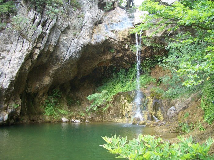 Ο παράδεισος της Ελλάδας: Η πόλη με τα παρθένα δάση, τα πετρόχτιστα γεφύρια, τη σπάνια βλάστηση και τους πανέμορφους καταρράκτες Ο παράδεισος της Ελλάδας: Η πόλη με τα παρθένα δάση, τα πετρόχτιστα γεφύρια, τη σπάνια βλάστηση και τους πανέμορφους καταρράκτες