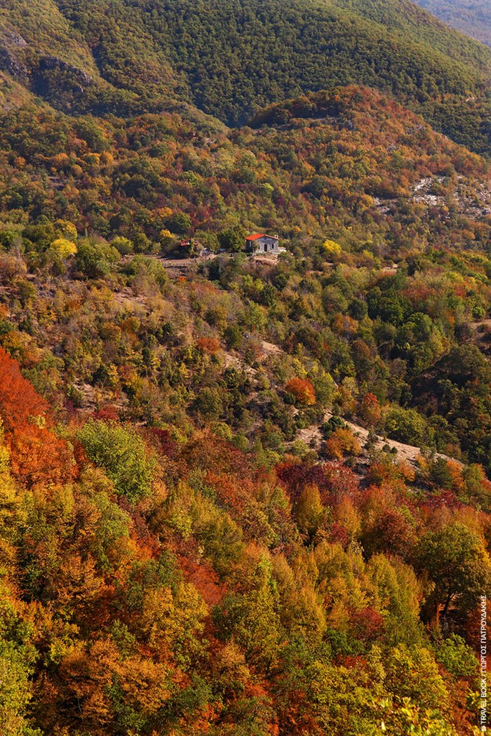 Ο παράδεισος της Ελλάδας: Η πόλη με τα παρθένα δάση, τα πετρόχτιστα γεφύρια, τη σπάνια βλάστηση και τους πανέμορφους καταρράκτες Ο παράδεισος της Ελλάδας: Η πόλη με τα παρθένα δάση, τα πετρόχτιστα γεφύρια, τη σπάνια βλάστηση και τους πανέμορφους καταρράκτες