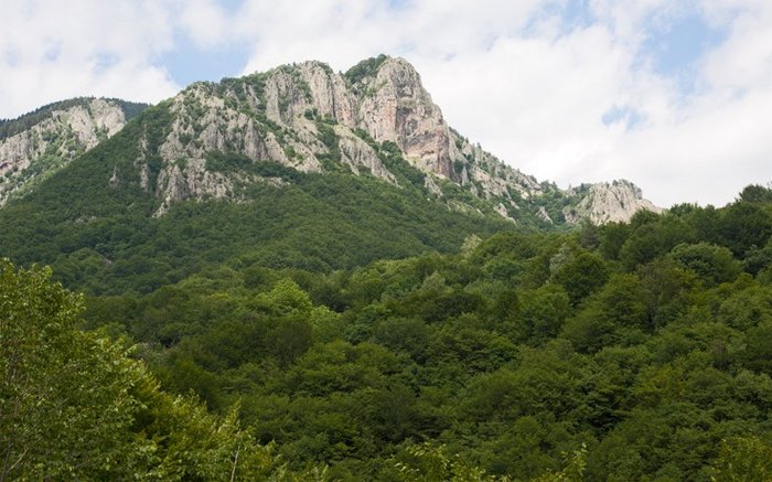 Ο παράδεισος της Ελλάδας: Η πόλη με τα παρθένα δάση, τα πετρόχτιστα γεφύρια, τη σπάνια βλάστηση και τους πανέμορφους καταρράκτες Ο παράδεισος της Ελλάδας: Η πόλη με τα παρθένα δάση, τα πετρόχτιστα γεφύρια, τη σπάνια βλάστηση και τους πανέμορφους καταρράκτες
