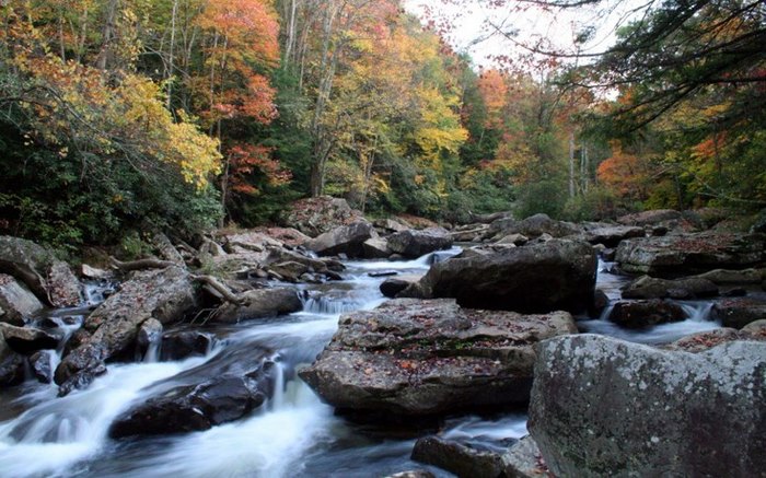Ο παράδεισος της Ελλάδας: Η πόλη με τα παρθένα δάση, τα πετρόχτιστα γεφύρια, τη σπάνια βλάστηση και τους πανέμορφους καταρράκτες Ο παράδεισος της Ελλάδας: Η πόλη με τα παρθένα δάση, τα πετρόχτιστα γεφύρια, τη σπάνια βλάστηση και τους πανέμορφους καταρράκτες
