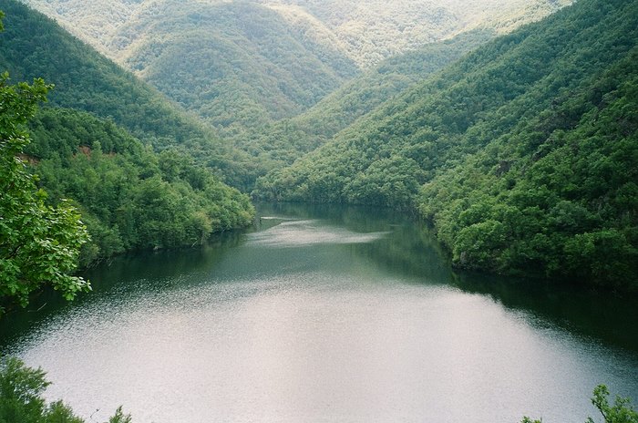 Ο παράδεισος της Ελλάδας: Η πόλη με τα παρθένα δάση, τα πετρόχτιστα γεφύρια, τη σπάνια βλάστηση και τους πανέμορφους καταρράκτες Ο παράδεισος της Ελλάδας: Η πόλη με τα παρθένα δάση, τα πετρόχτιστα γεφύρια, τη σπάνια βλάστηση και τους πανέμορφους καταρράκτες