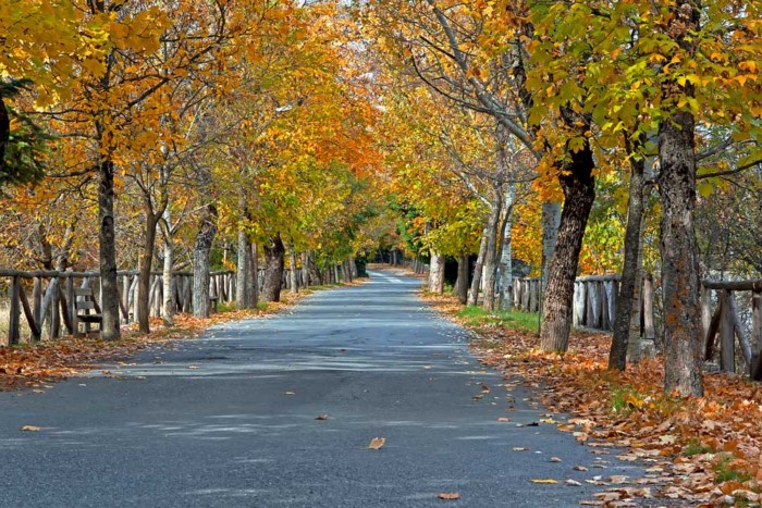 Μέρη διαμάντια 2μιση ώρες από την Αθήνα