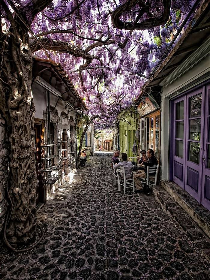 Το νησί των τεχνών και των γραμμάτων με την ατέλειωτη ομορφιά. Εκεί γεννήθηκαν η Σαπφώ, ο Θεόφιλος και ο Μυριβήλης