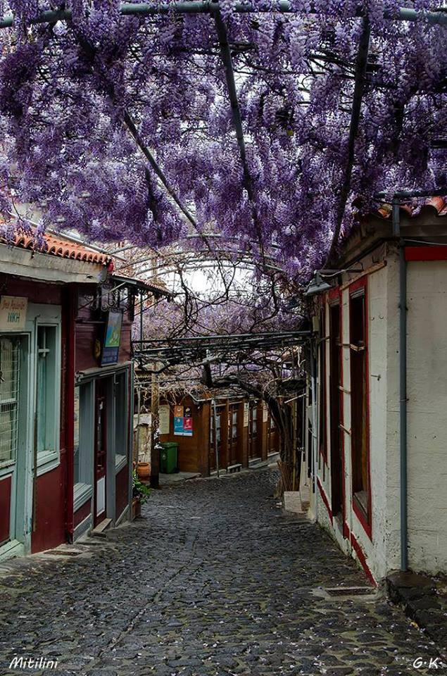 Το νησί των τεχνών και των γραμμάτων με την ατέλειωτη ομορφιά. Εκεί γεννήθηκαν η Σαπφώ, ο Θεόφιλος και ο Μυριβήλης