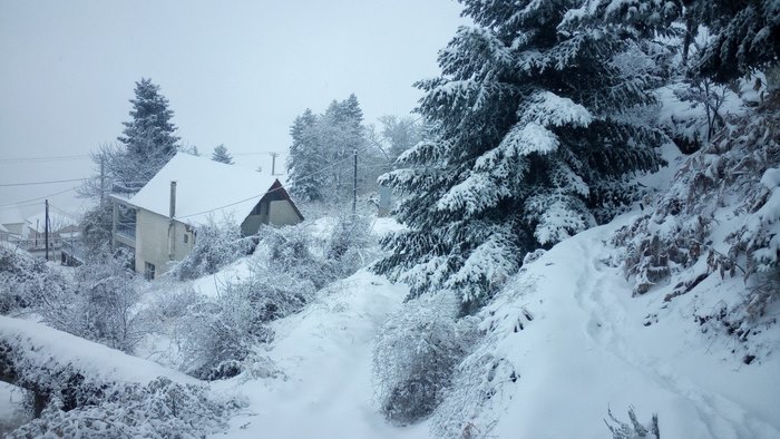 Αλπικό τοπίο μόλις μιάμιση ώρα από την Αθήνα; Και όμως υπάρχει! Αλπικό τοπίο μόλις μιάμιση ώρα από την Αθήνα; Και όμως υπάρχει!