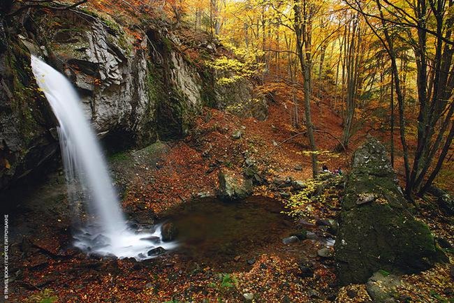 Το μοναδικό παρθένο δάσος της Ελλάδας και ένα από τα ελάχιστα της Ευρώπης βρίσκεται στη Δράμα! Το μοναδικό παρθένο δάσος της Ελλάδας και ένα από τα ελάχιστα της Ευρώπης βρίσκεται στη Δράμα!