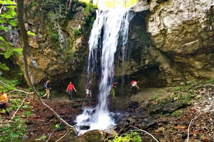 Το μοναδικό παρθένο δάσος της Ελλάδας και ένα από τα ελάχιστα της Ευρώπης βρίσκεται στη Δράμα! Το μοναδικό παρθένο δάσος της Ελλάδας και ένα από τα ελάχιστα της Ευρώπης βρίσκεται στη Δράμα!