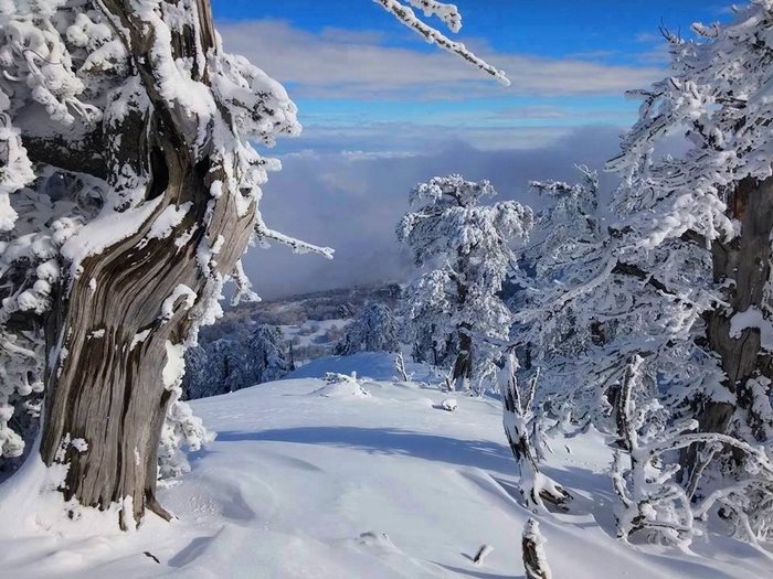 dinfo.gr - 30 μαγικές φωτογραφίες που αποδεικνύουν ότι η Ελλάδα γίνεται πιο όμορφη όταν χιονίζει.. 