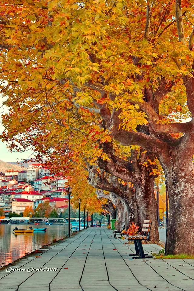 Υπάρχει μια πόλη στην Ελλάδα που κάθε Φθινόπωρο γίνεται ακόμη πιο όμορφη. Γίνεται χρυσή
