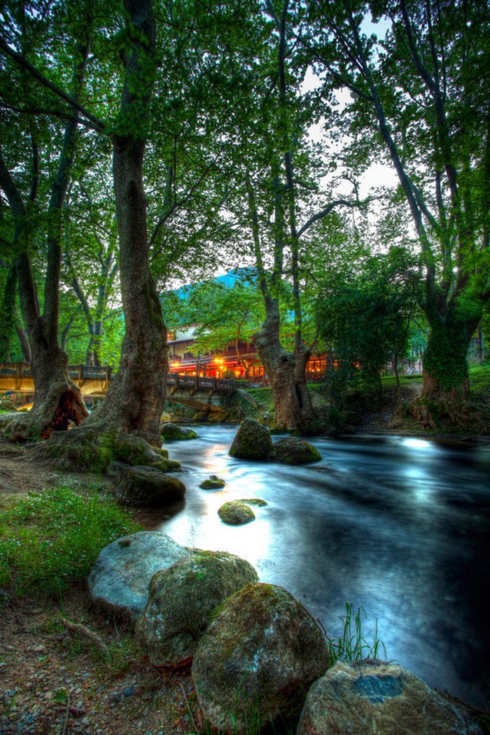 Στην Ελλάδα το παραδεισένιο άλσος με τα υπεραιωνόβια πλατάνια που κέρδισε το πρώτο πανευρωπαϊκό βραβείο. Μαγεύει με την ομορφιά του Στην Ελλάδα το παραδεισένιο άλσος με τα υπεραιωνόβια πλατάνια που κέρδισε το πρώτο πανευρωπαϊκό βραβείο. Μαγεύει με την ομορφιά του