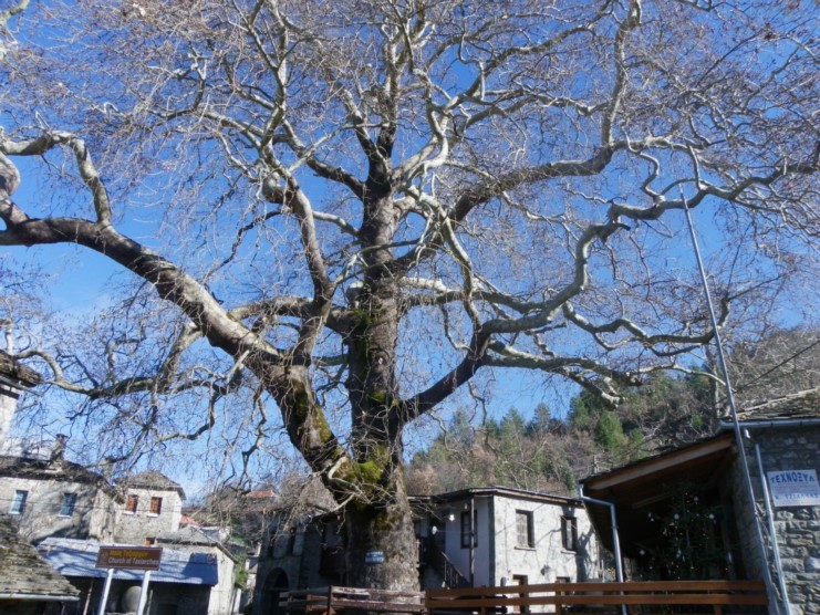 Το Ελληνικό χωριό που ο χρόνος έχει σταματήσει δυο αιώνες πριν. Ένα στολίδι αρχιτεκτονικής από πέτρα και ξύλο! Το Ελληνικό χωριό που ο χρόνος έχει σταματήσει δυο αιώνες πριν. Ένα στολίδι αρχιτεκτονικής από πέτρα και ξύλο!