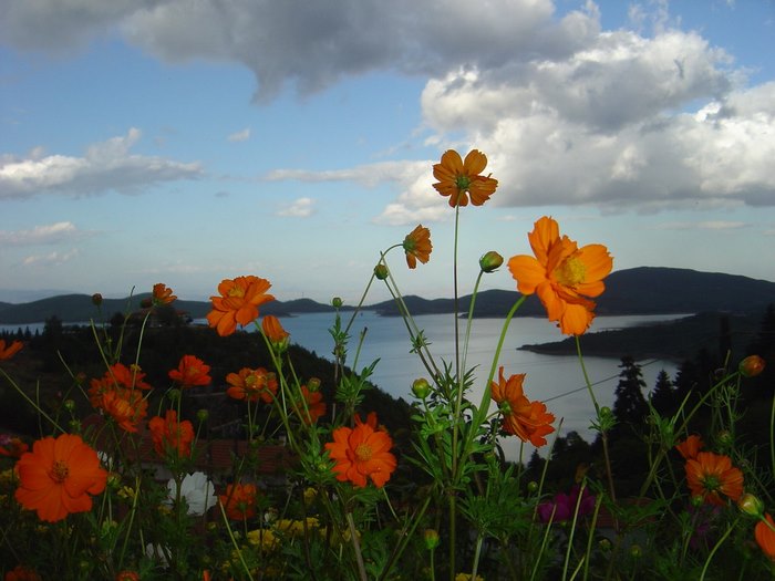 Τοπίο που θυμίζει τα φιορδ της Νορβηγίας. Αλλά.. βρίσκεται στην Ελλάδα!