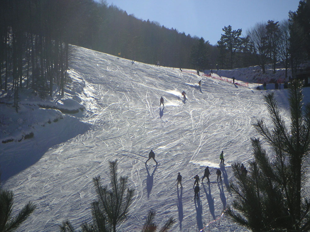 Elatochori_snowboard_centre