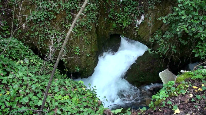 Αγόριανη-Επτάλοφος