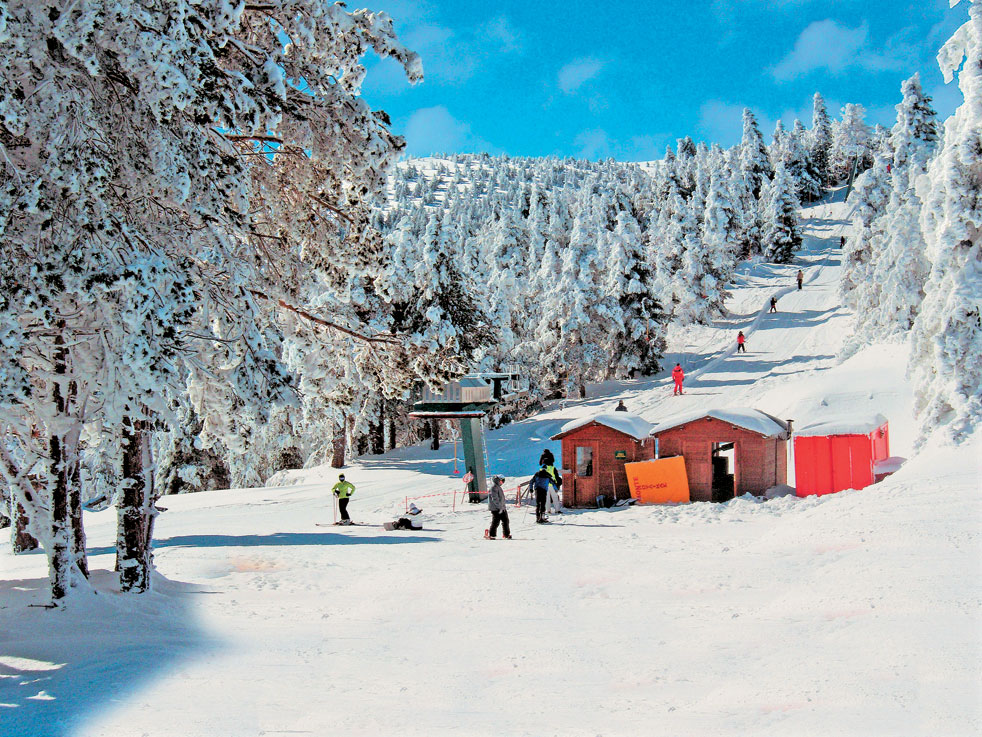 assets_LARGE_t_183762_54293315