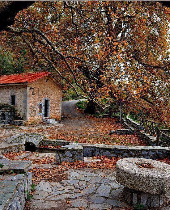 Η αρχαιότερη βιβλιοθήκη της Ελλάδας βρίσκεται σε ένα ορεινό χωριό μόλις 342 κατοίκων