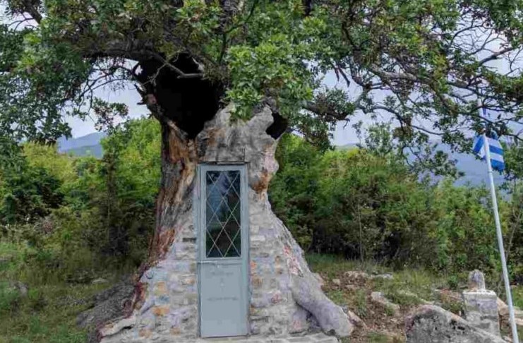 Το εκκλησάκι στην Κόνιτσα που χτίστηκε μέσα σε δέντρο 300 ετών! Το εκκλησάκι στην Κόνιτσα που χτίστηκε μέσα σε δέντρο 300 ετών!