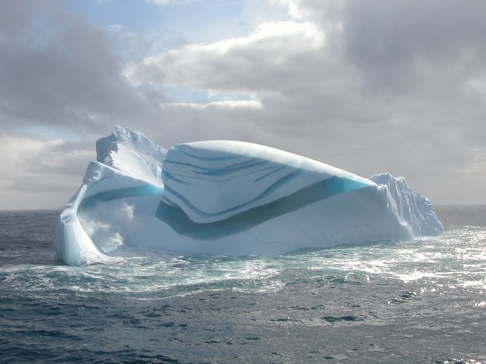 Ριγέ παγόβουνα, Ανταρκτική