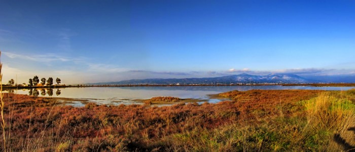 Λιμνοθάλασσα Ωρωπού: Ένας άγνωστος υγροβιότοπος γεμάτος φλαμίνγκο 