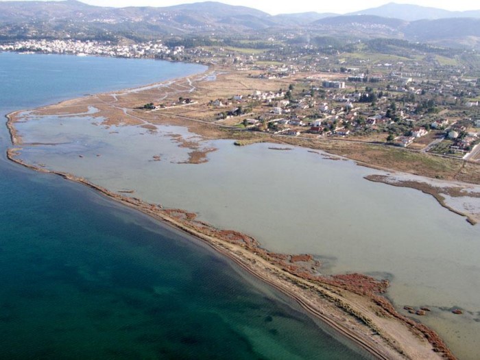 Λιμνοθάλασσα Ωρωπού: Ένας άγνωστος υγροβιότοπος γεμάτος φλαμίνγκο 