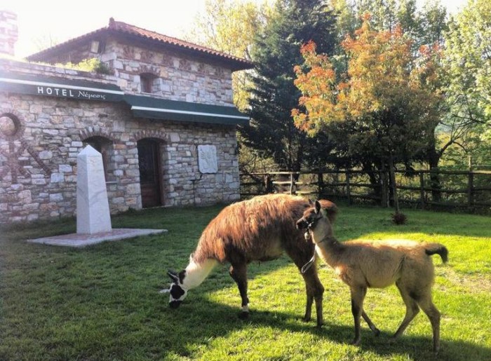 Το πιο παραμυθένιο ξενοδοχείο της Ελλάδας είναι γεμάτο πέτρινους πύργους και θυμίζει.. Σκωτία