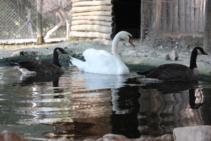 Το πιο παραμυθένιο ξενοδοχείο της Ελλάδας είναι γεμάτο πέτρινους πύργους και θυμίζει.. Σκωτία