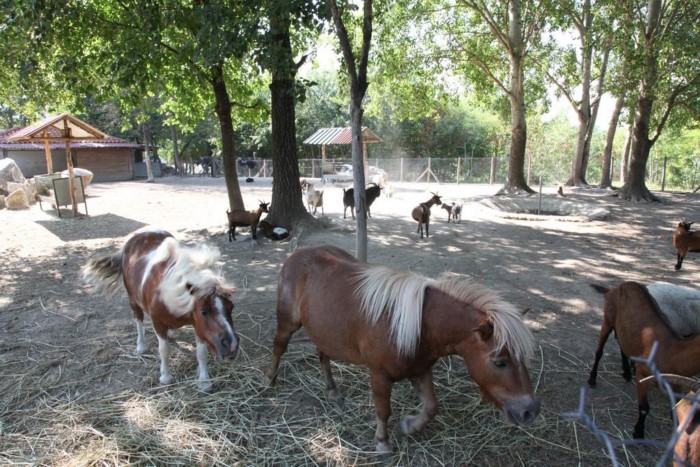 Το πιο παραμυθένιο ξενοδοχείο της Ελλάδας είναι γεμάτο πέτρινους πύργους και θυμίζει.. Σκωτία