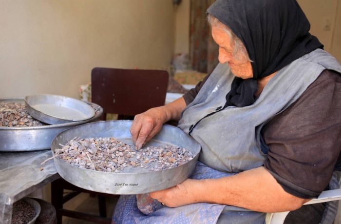 Η ζωή στο χωριό μέσα από 30 υπέροχες, νοσταλγικές φωτογραφίες Η ζωή στο χωριό μέσα από 30 υπέροχες, νοσταλγικές φωτογραφίες