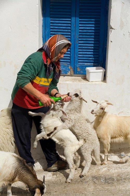 Η ζωή στο χωριό μέσα από 30 υπέροχες, νοσταλγικές φωτογραφίες Η ζωή στο χωριό μέσα από 30 υπέροχες, νοσταλγικές φωτογραφίες