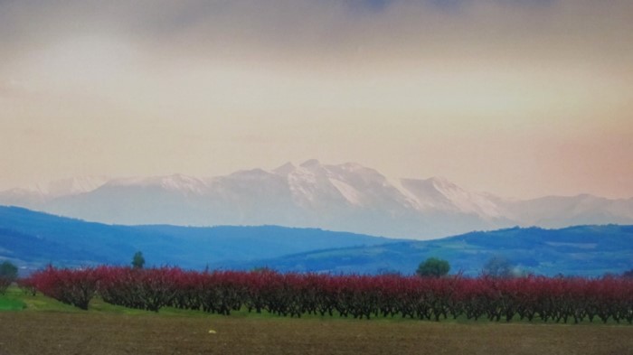 Κάθε Μάρτιο ο Κάμπος της Βέροιας μοιάζει βγαλμένος από τα ωραιότερα παραμύθια Κάθε Μάρτιο ο Κάμπος της Βέροιας μοιάζει βγαλμένος από τα ωραιότερα παραμύθια