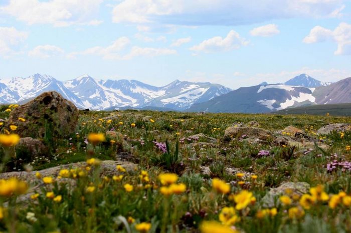 21 απίστευτα μέρη στον κόσμο που την Άνοιξη μετατρέπονται σε παραδεισένιους κήπους 21 απίστευτα μέρη στον κόσμο που την Άνοιξη μετατρέπονται σε παραδεισένιους κήπους