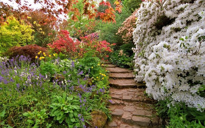 21 απίστευτα μέρη στον κόσμο που την Άνοιξη μετατρέπονται σε παραδεισένιους κήπους 21 απίστευτα μέρη στον κόσμο που την Άνοιξη μετατρέπονται σε παραδεισένιους κήπους