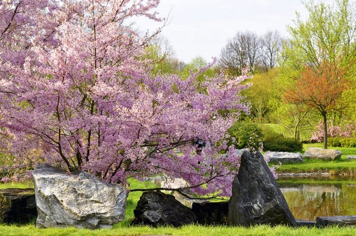 21 απίστευτα μέρη στον κόσμο που την Άνοιξη μετατρέπονται σε παραδεισένιους κήπους 21 απίστευτα μέρη στον κόσμο που την Άνοιξη μετατρέπονται σε παραδεισένιους κήπους
