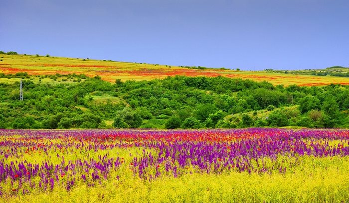21 απίστευτα μέρη στον κόσμο που την Άνοιξη μετατρέπονται σε παραδεισένιους κήπους 21 απίστευτα μέρη στον κόσμο που την Άνοιξη μετατρέπονται σε παραδεισένιους κήπους