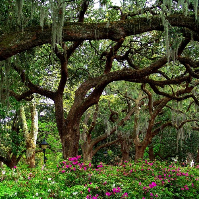 21 απίστευτα μέρη στον κόσμο που την Άνοιξη μετατρέπονται σε παραδεισένιους κήπους 21 απίστευτα μέρη στον κόσμο που την Άνοιξη μετατρέπονται σε παραδεισένιους κήπους