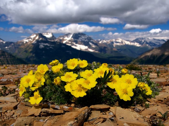 21 απίστευτα μέρη στον κόσμο που την Άνοιξη μετατρέπονται σε παραδεισένιους κήπους 21 απίστευτα μέρη στον κόσμο που την Άνοιξη μετατρέπονται σε παραδεισένιους κήπους