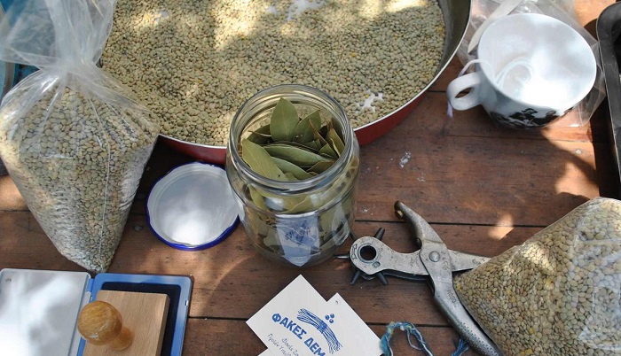 Ελαφότοπος Ζαγορίου: Η Ρόκκα της Λένας …Και η Λένα της Ρόκκας Ελαφότοπος Ζαγορίου: Η Ρόκκα της Λένας …Και η Λένα της Ρόκκας