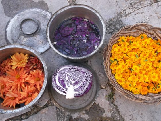 Ελαφότοπος Ζαγορίου: Η Ρόκκα της Λένας …Και η Λένα της Ρόκκας Ελαφότοπος Ζαγορίου: Η Ρόκκα της Λένας …Και η Λένα της Ρόκκας