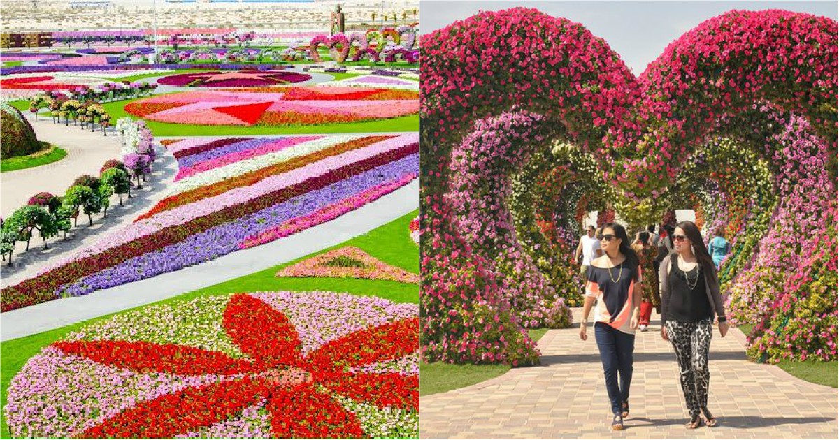 Ο κήπος των θαυμάτων στο Ντουμπάι