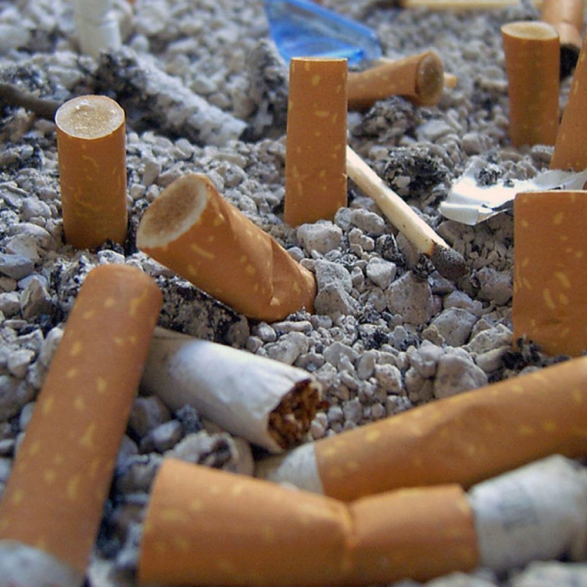 Ψήφισμα: Συμφωνείτε Να Απαγορευτεί Το Κάπνισμα Σε Πάρκα Και Παραλίες;