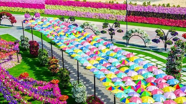 dinfo.gr - Ο κήπος των θαυμάτων στο Ντουμπάι