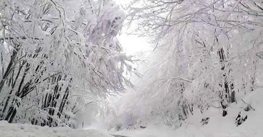Νέες, μαγικές, σημερινές εικόνες από τη χιονισμένη Φλώρινα! (photos & video)