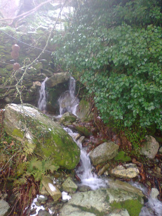 Της Άρνης το νερό: Η πηγή στην Άνδρο που όποιος πίνει, ξεχνάει αυτούς που αγαπάει